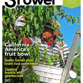 australian-stonefruit-grower-august-2016-edition