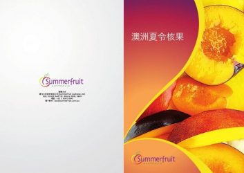 Export Brochure Chinese