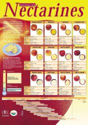 Nectarine Variety Chart
