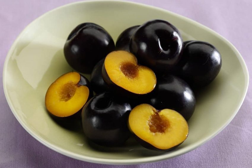 plums-summerfruit-australia