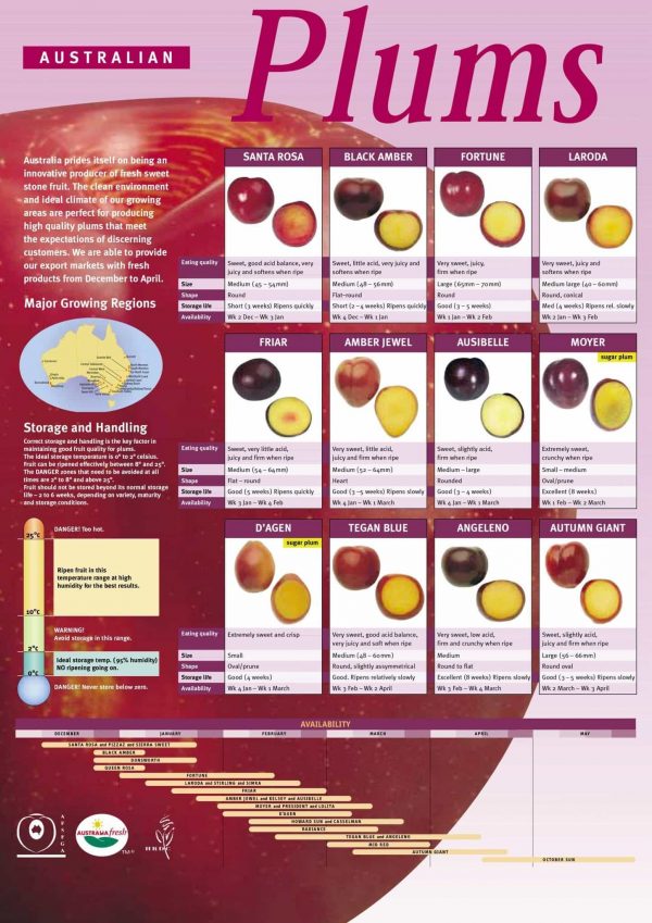 Retail Training Manual Summerfruit Australia 4115