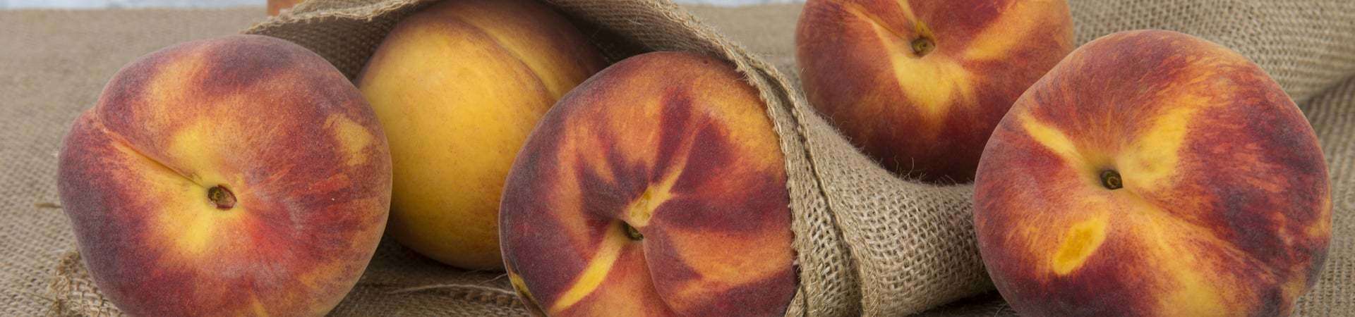 recipe-banner-summerfruit-australia