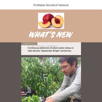 Profitable Stonefruit Network June 2018