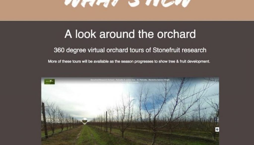 Virtual Orchard Tour