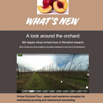 Virtual Orchard Tour