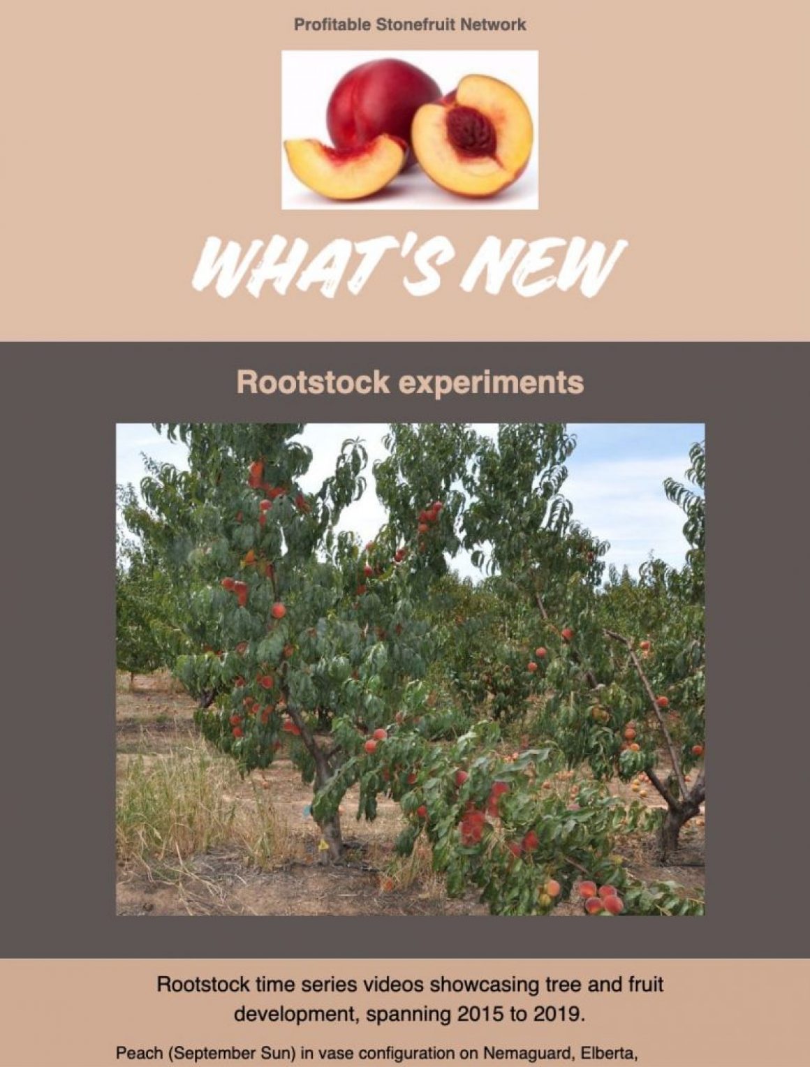 Latest-Research-From-The-Stonefruit-Research-Orchard---May-2019