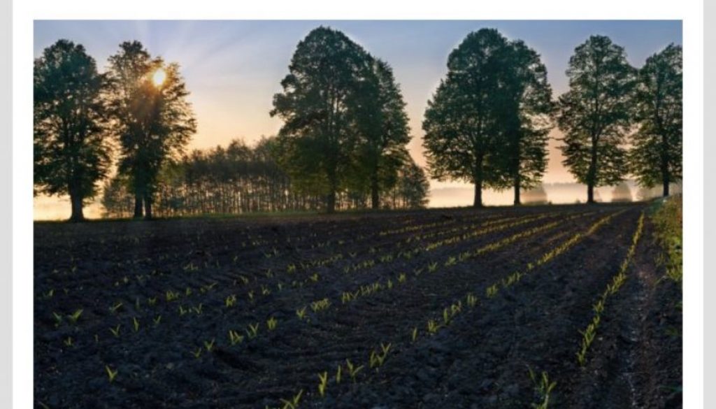 Agrifutures July 25 2019