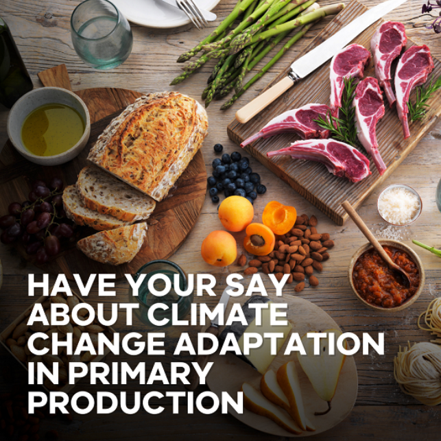 Have your say about climate change adaptation in primary production