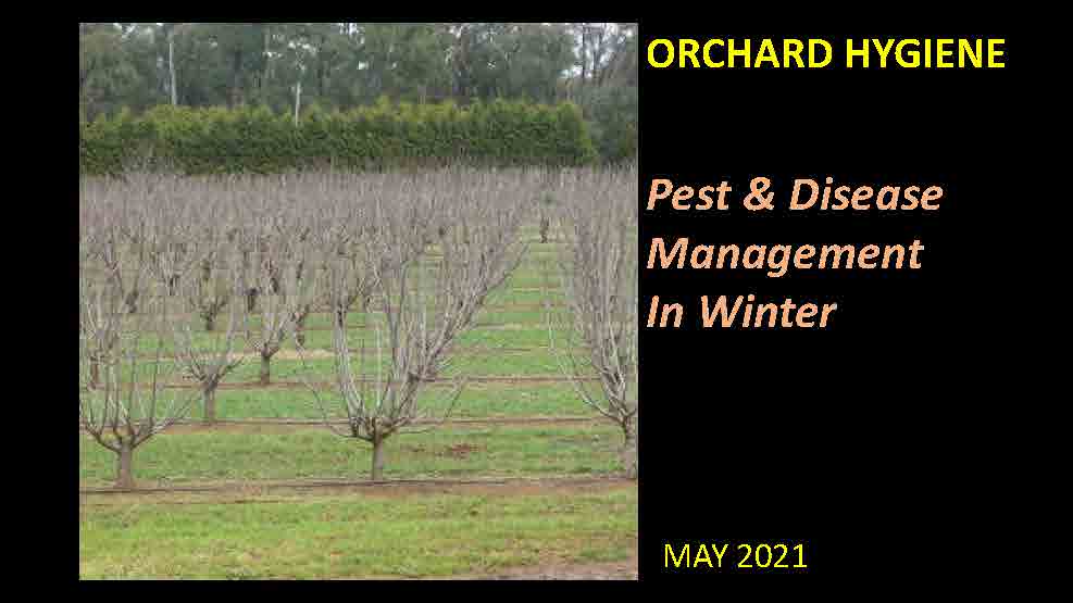 Pages from 2023 Orchard Hygiene presentation.pdf