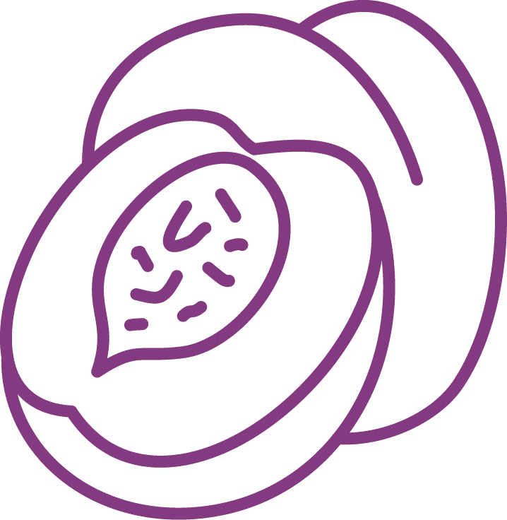 Category Icon Set-05