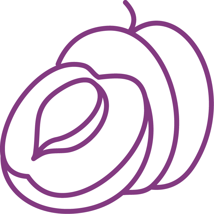 Category Icon Set-06